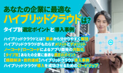 あなたの企業に最適なハイブリッドクラウドは？タイプ別選定ポイントと導入事例